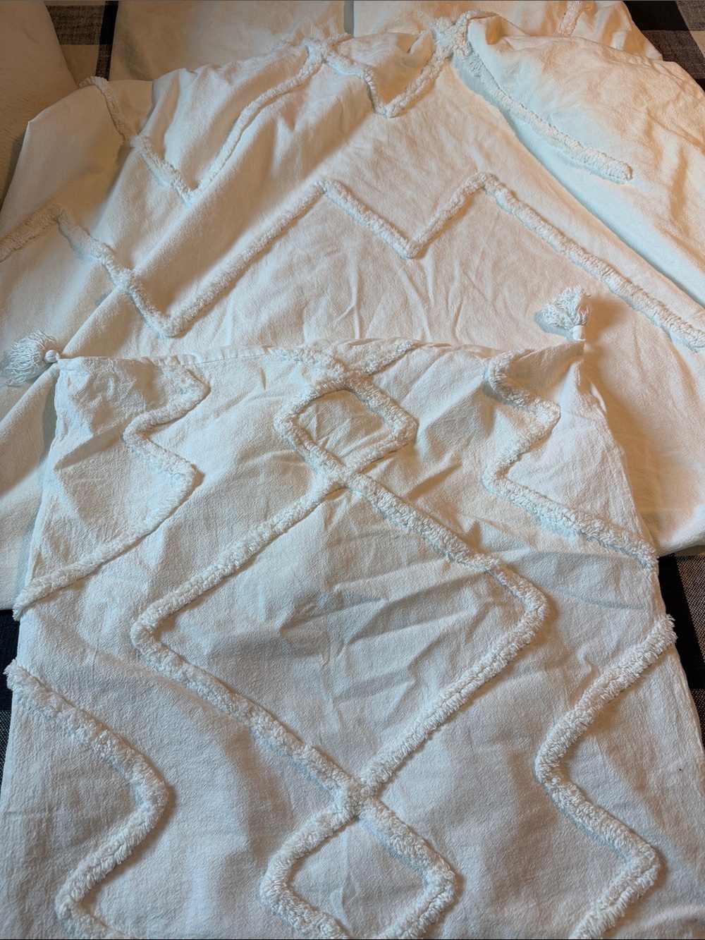 Ashlyn Pottery Barn Teen Ivory Textured Diamond Tuft Duvet Cover twin